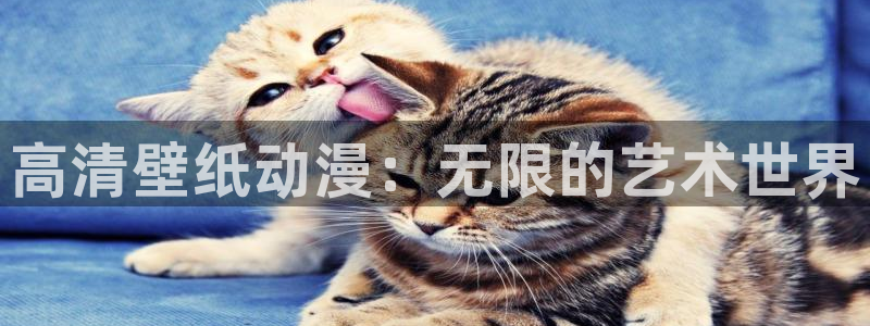 《剑风传奇》樱花动漫