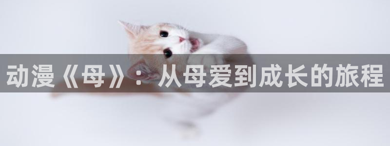 樱花动漫网官网正版