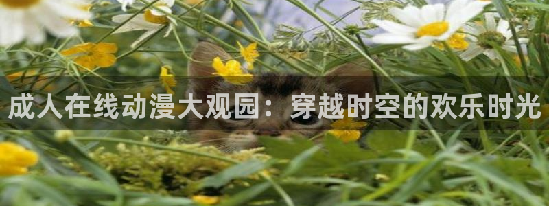 我推的孩子樱花动漫第一季