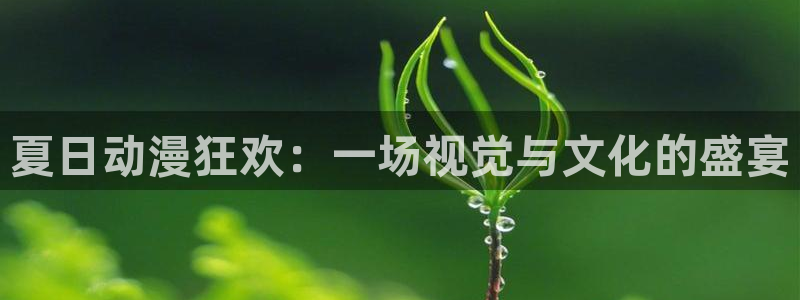 樱花动漫网站有病毒吗：夏日动漫狂欢：一场视觉与文化的盛宴